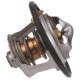 Termostat 504384724FPT | Exvi