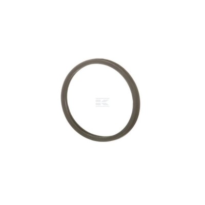 Uszczelka termostatu 504030960FPT | Exvi
