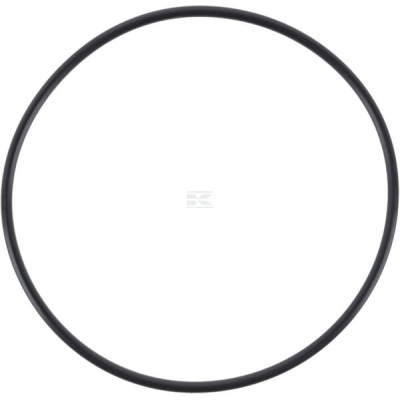 Pierścień uszczelniający CE21613 | Exvi