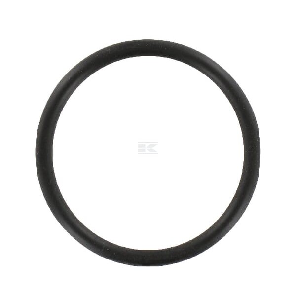 Pierścień uszczelniający o-ring R495R | Exvi