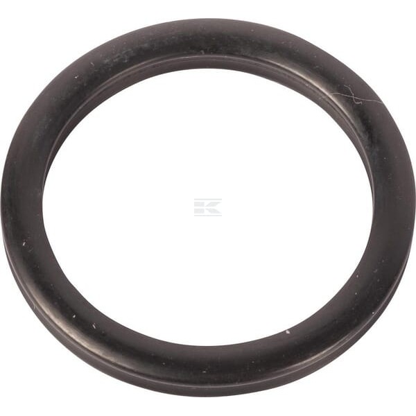 Pierścień uszczelniający o-ring R63605 | Exvi