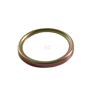 Blaszka zabezpieczająca, ZF 4472352029 | Exvi