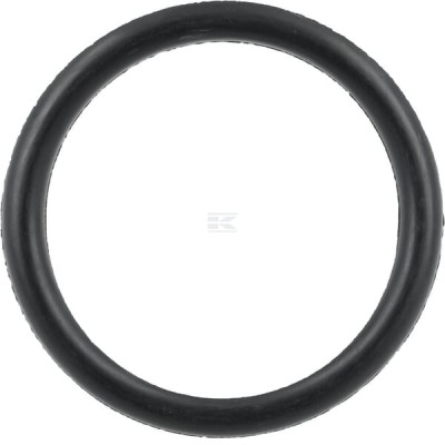 Pierścień uszczelniający o-ring wału T26904GP | Exvi