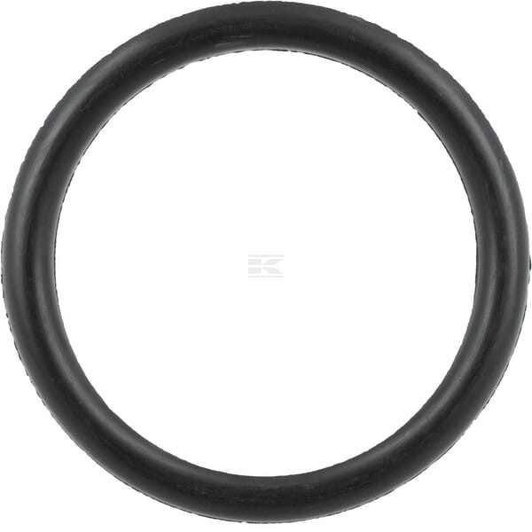 Pierścień uszczelniający o-ring wału T26904GP | Exvi