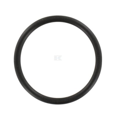 Pierścień uszczelniający o-ring L53819 | Exvi