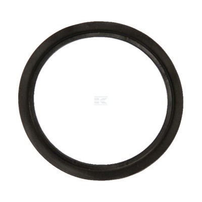 Pierścień uszczelniający R113565 | Exvi