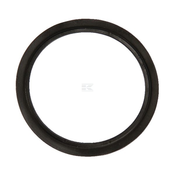 Pierścień uszczelniający R113565 | Exvi