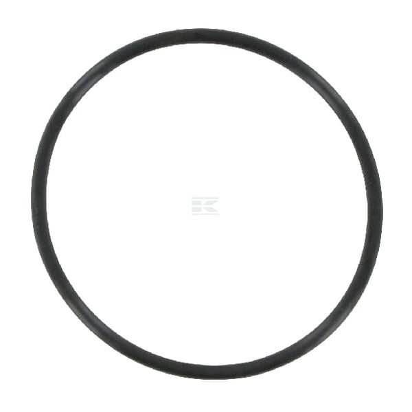 Pierścień uszczelniający o-ring CH17154 | Exvi
