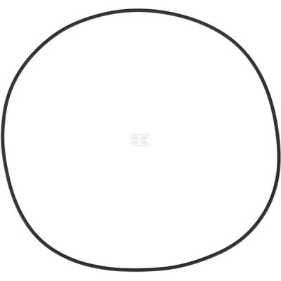 Pierścień uszczelniający o-ring CI028575 | Exvi