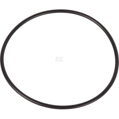 Pierścień uszczelniający o-ring CI028533 | Exvi