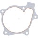 Uszczelka pompy wody R533334 | Exvi