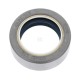 Uszczelniacz COMBI SF6 42x62x21.5 72 NBR 5177709 | Exvi