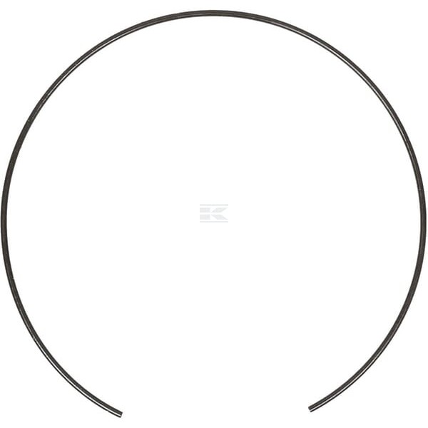 Pierścień zabezpieczający CI125344 | Exvi