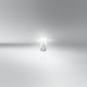 Żarówki 2825-2BL W5W 12VW2.1X9.5D BLI 4062172395885 | Exvi