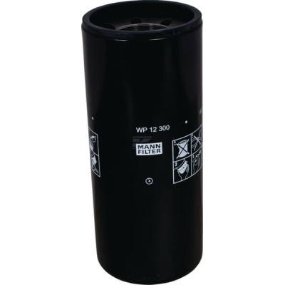 Filtr wymienny oleju smarowego WP12300 | Exvi