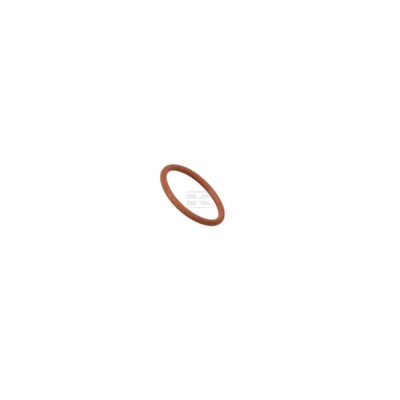 Pierścień uszczelniający o-ring 17289281FPT | Exvi