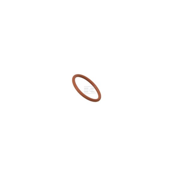 Pierścień uszczelniający o-ring 17289281FPT | Exvi
