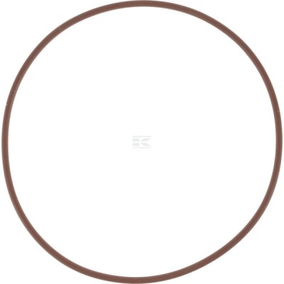 Pierścień uszczelniający o-ring 14466981 | Exvi