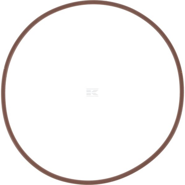 Pierścień uszczelniający o-ring 14466981 | Exvi