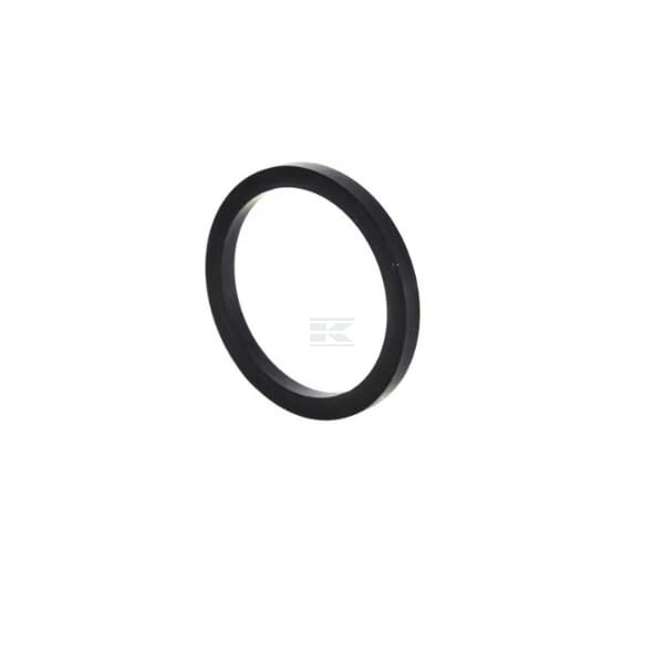 Pierścień uszczelniający o-ring uchwytu 4895297FPT | Exvi
