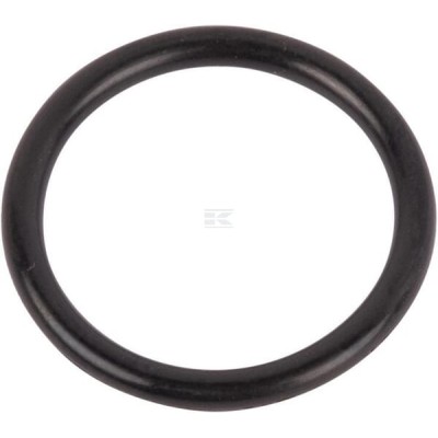 Pierścień uszczelniający o-ring 167269 | Exvi
