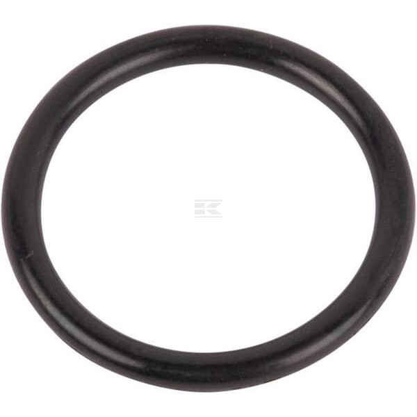 Pierścień uszczelniający o-ring 167269 | Exvi