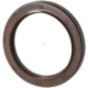 Uszczelniacz BAVISLRDX7 60.3x79.4x9.5 FPM 2418F436NC | Exvi