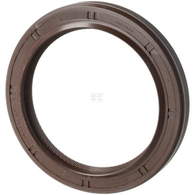Uszczelniacz BAVISLRDX7 60.3x79.4x9.5 FPM 2418F436NC | Exvi