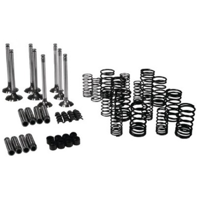 Zawory ssące i sprężyny kpl. VPA6010 | Exvi