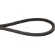 Pas klinowy uzębiony Optibelt, AVX 10x1175 AVX101175 | Exvi