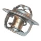 Termostat 3059676R91N | Exvi