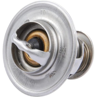 Termostat Case - IH 3059676R92 | Exvi