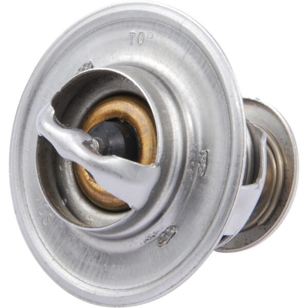 Termostat Case - IH 3059676R92 | Exvi