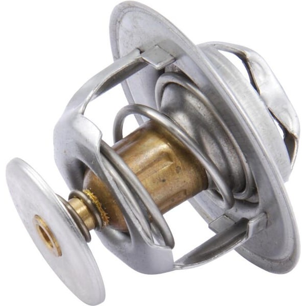 Termostat Case - IH 3059676R92 | Exvi