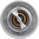 Termostat Case - IH 3059676R92 | Exvi