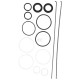 Zestaw naprawczy cylindra, Case - IH 55355C91 | Exvi