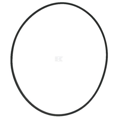 Pierścień uszczelniający filtra 405462R1 | Exvi