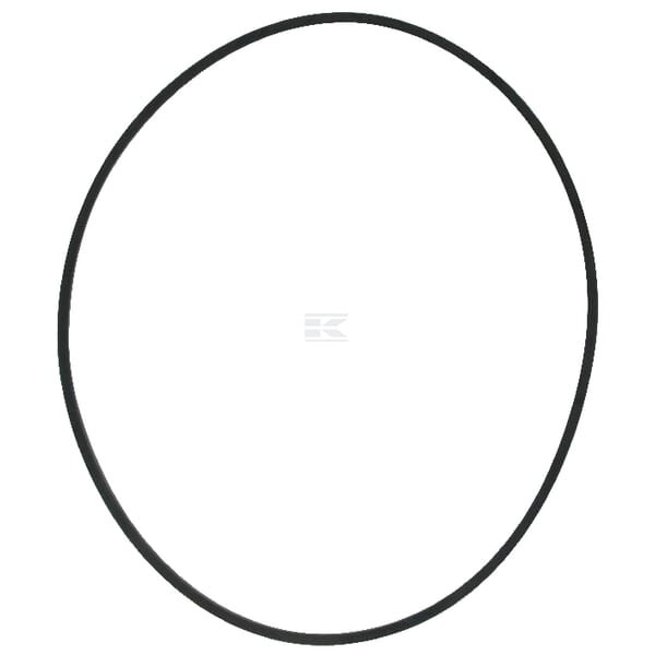 Pierścień uszczelniający filtra 405462R1 | Exvi