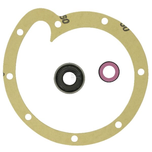 Zestaw naprawczy pompy wody Case - IH 3055285R95 | Exvi
