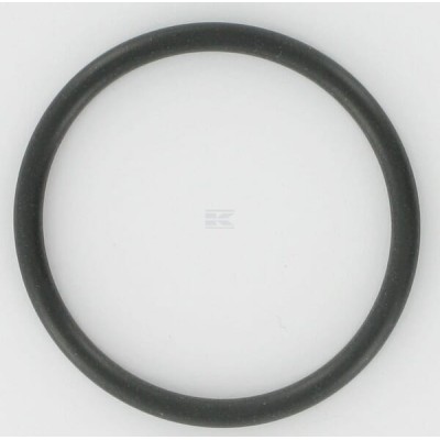 Pierścień uszczelniający o-ring 0634303417 | Exvi